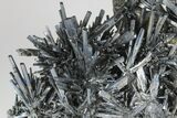 Metallic Stibnite Crystal Spray - Xikuangshan Mine, China #175921-1